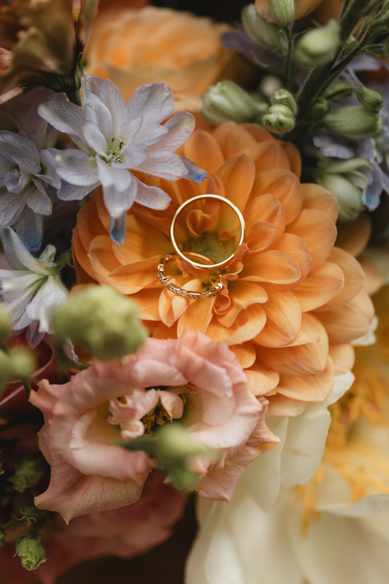 A color-graded look on Goodhue