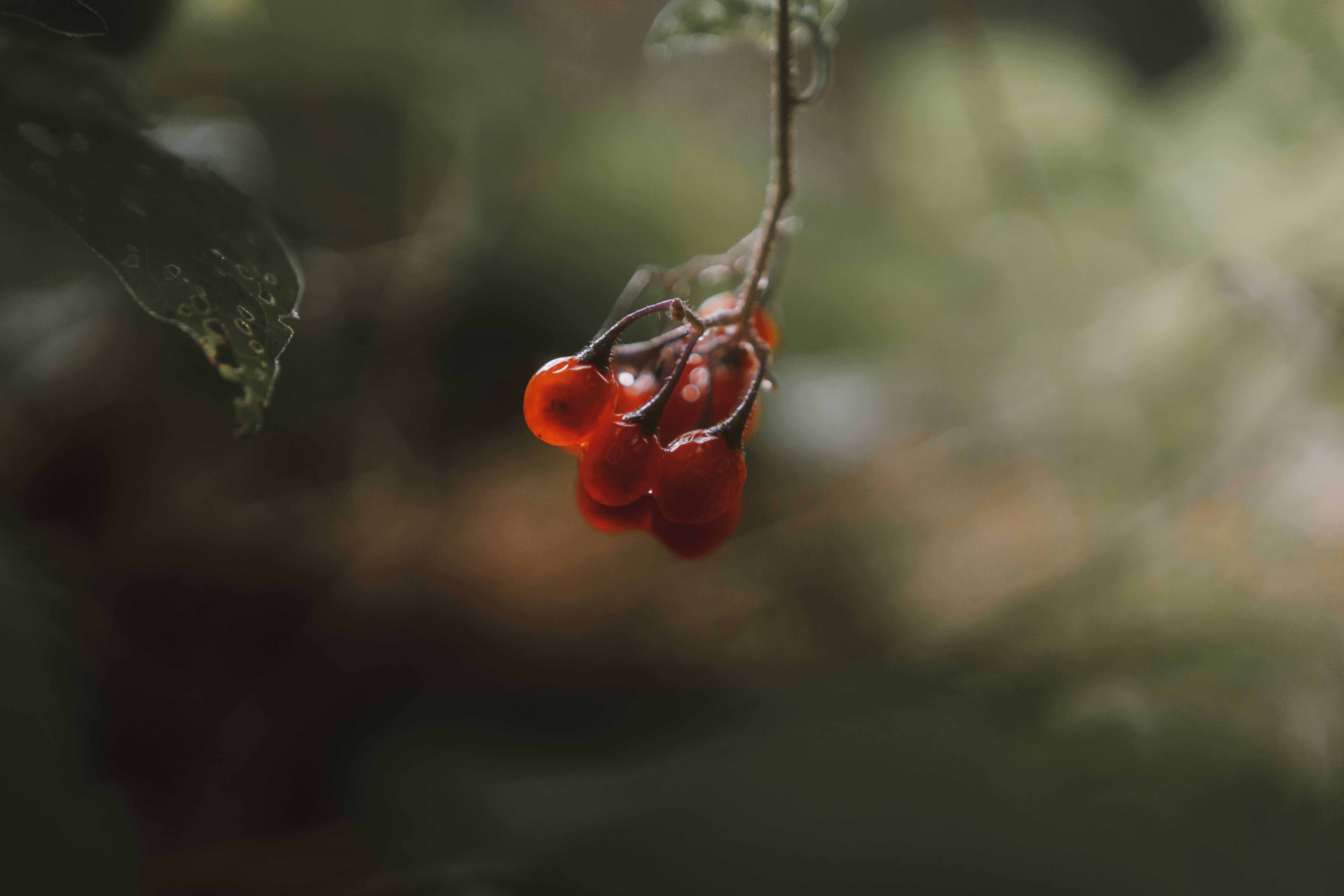 A color-graded look on Goodhue