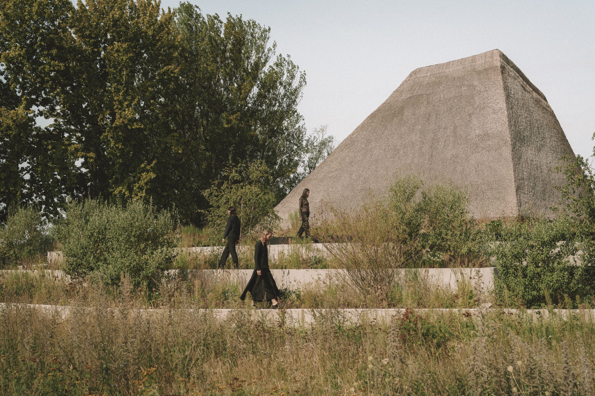 A color-graded look on Goodhue