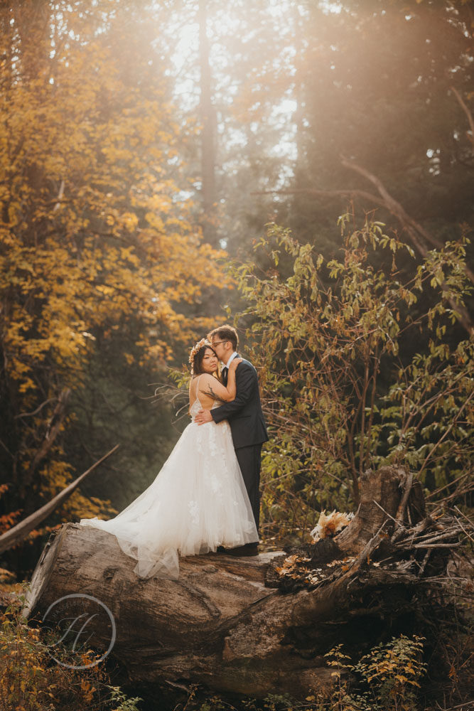 A color-graded look on Goodhue