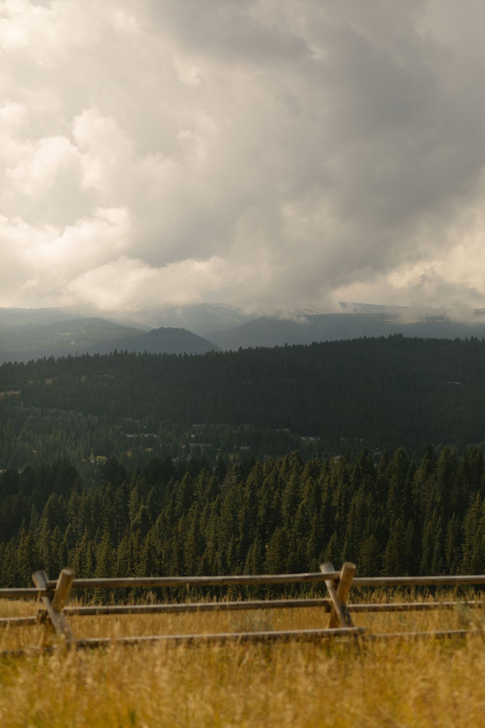 A color-graded look on Goodhue
