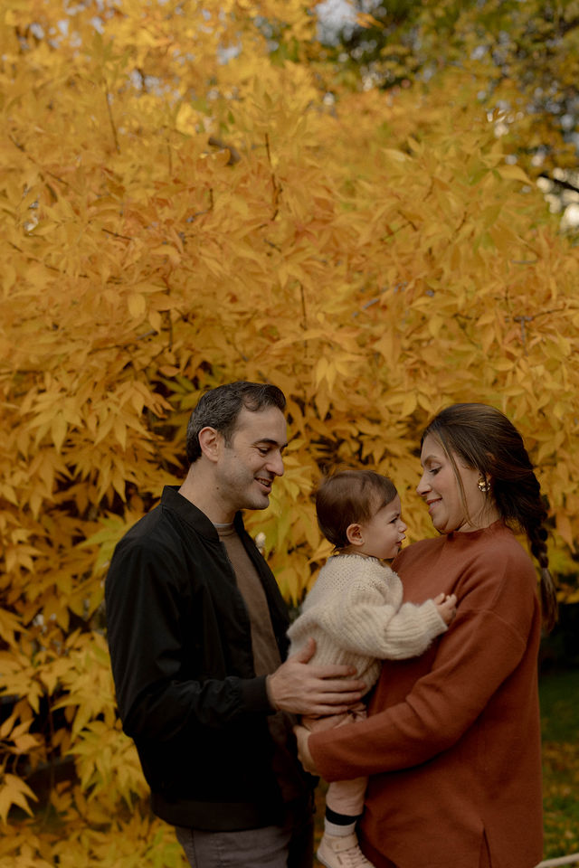 A color-graded look on Goodhue