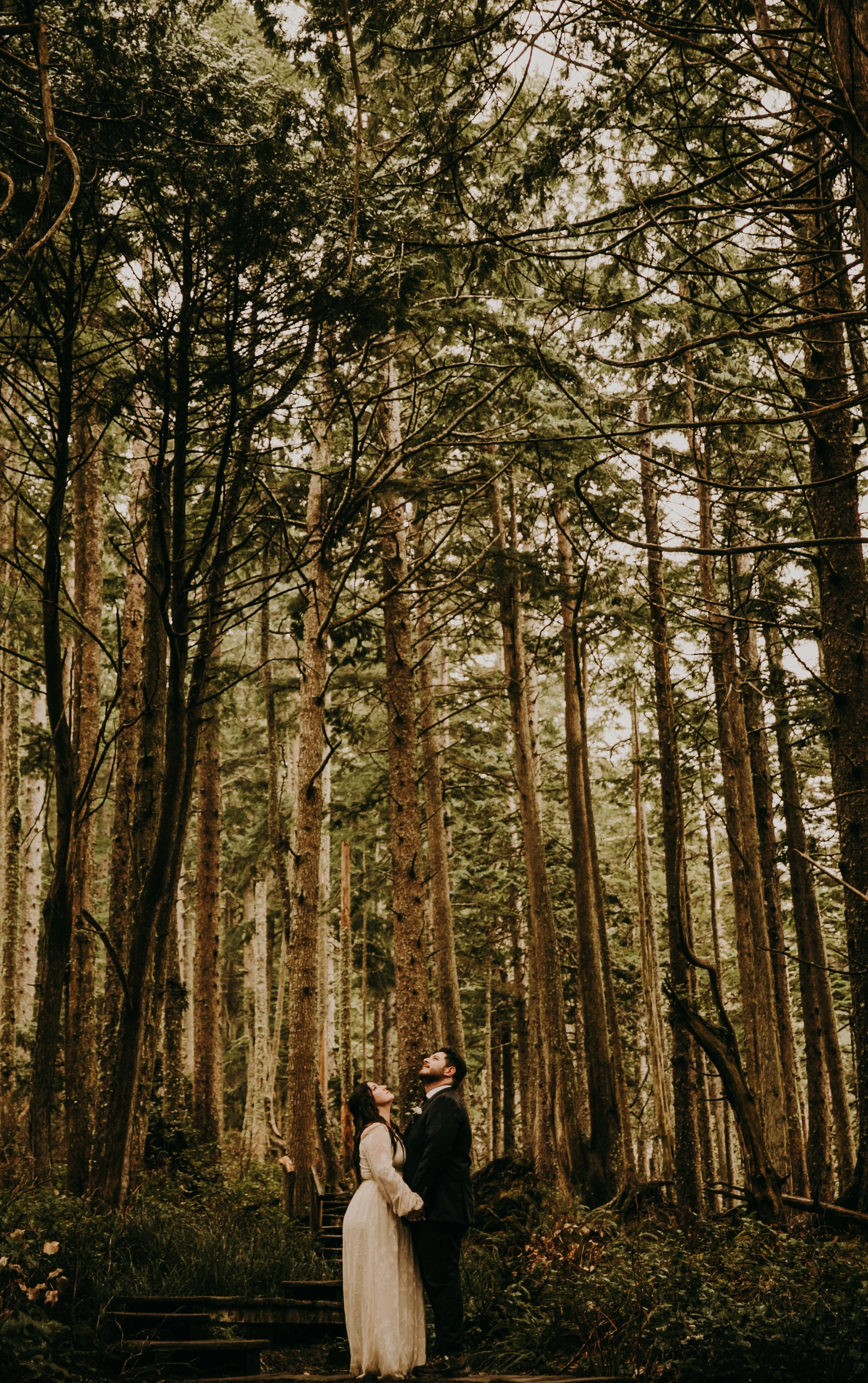 A color-graded look on Goodhue