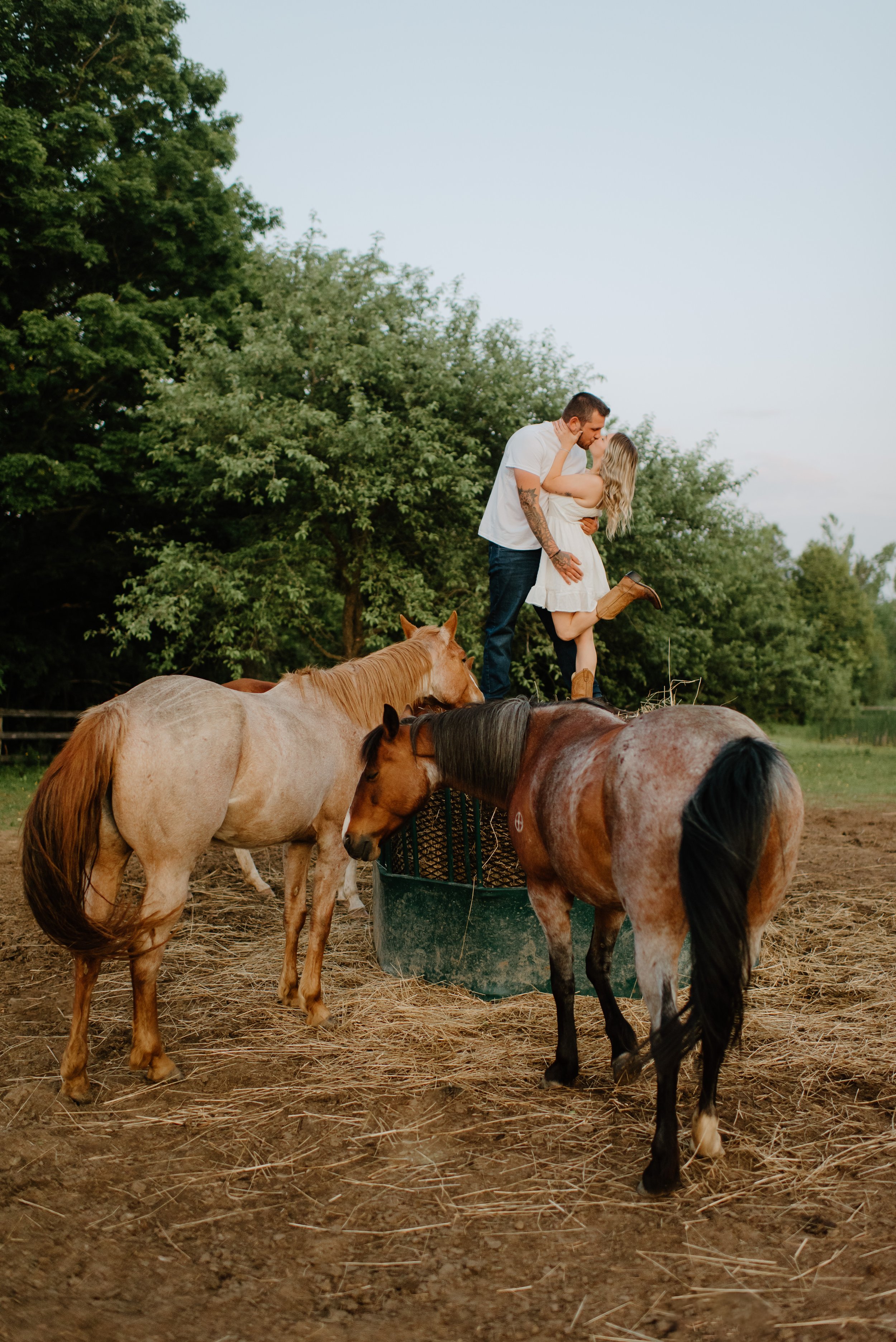 A color-graded look on Goodhue