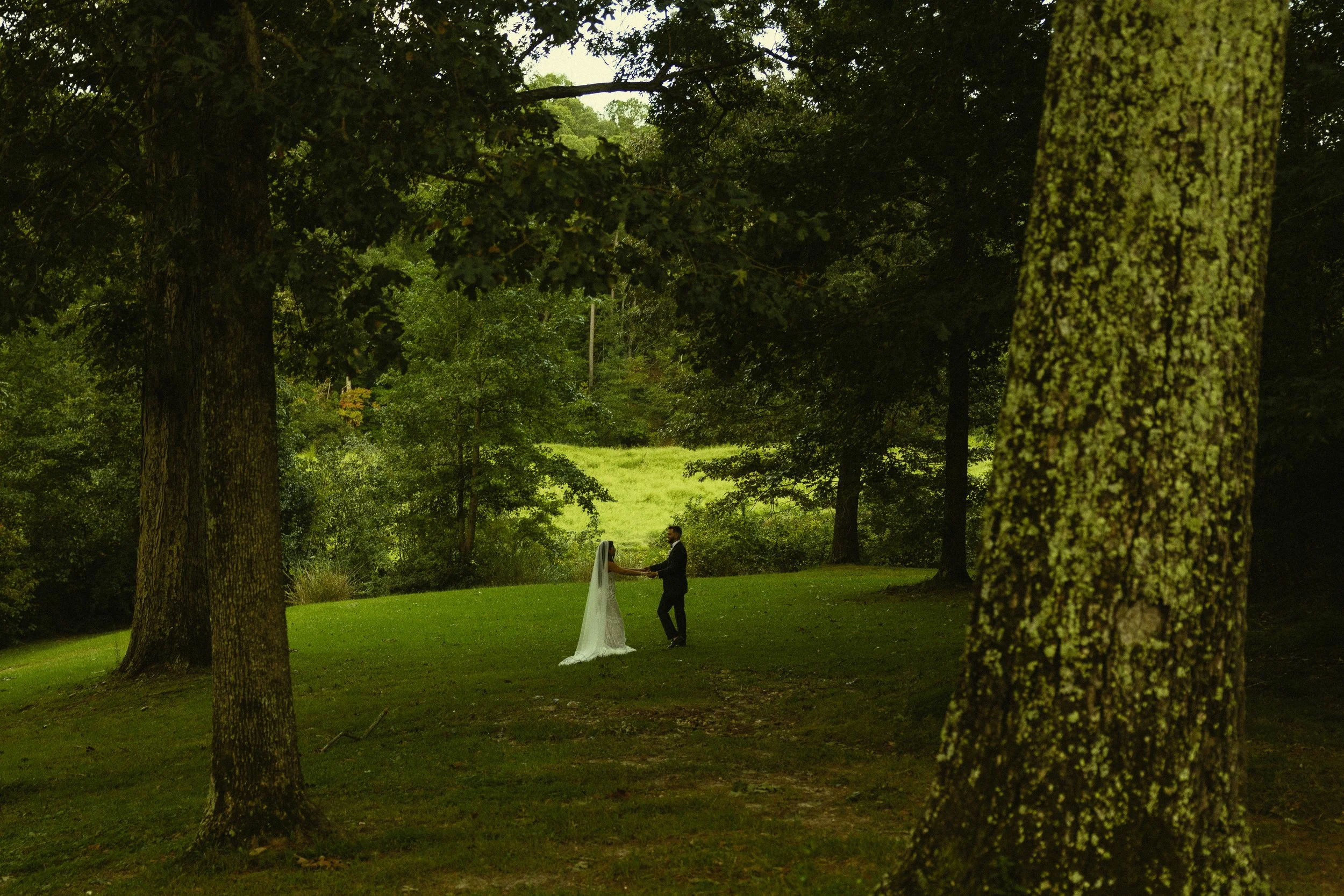 A color-graded look on Goodhue
