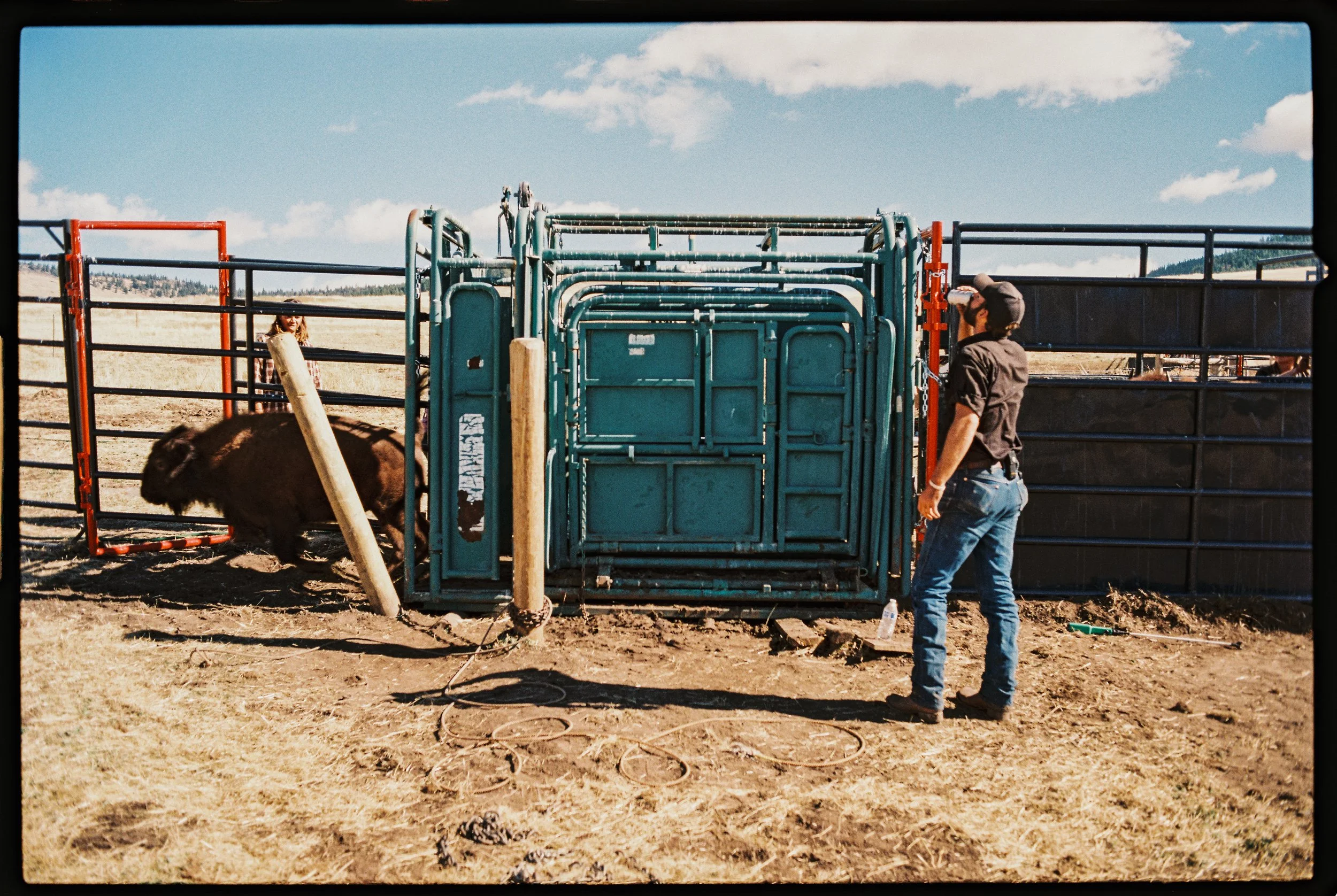A color-graded look on Goodhue