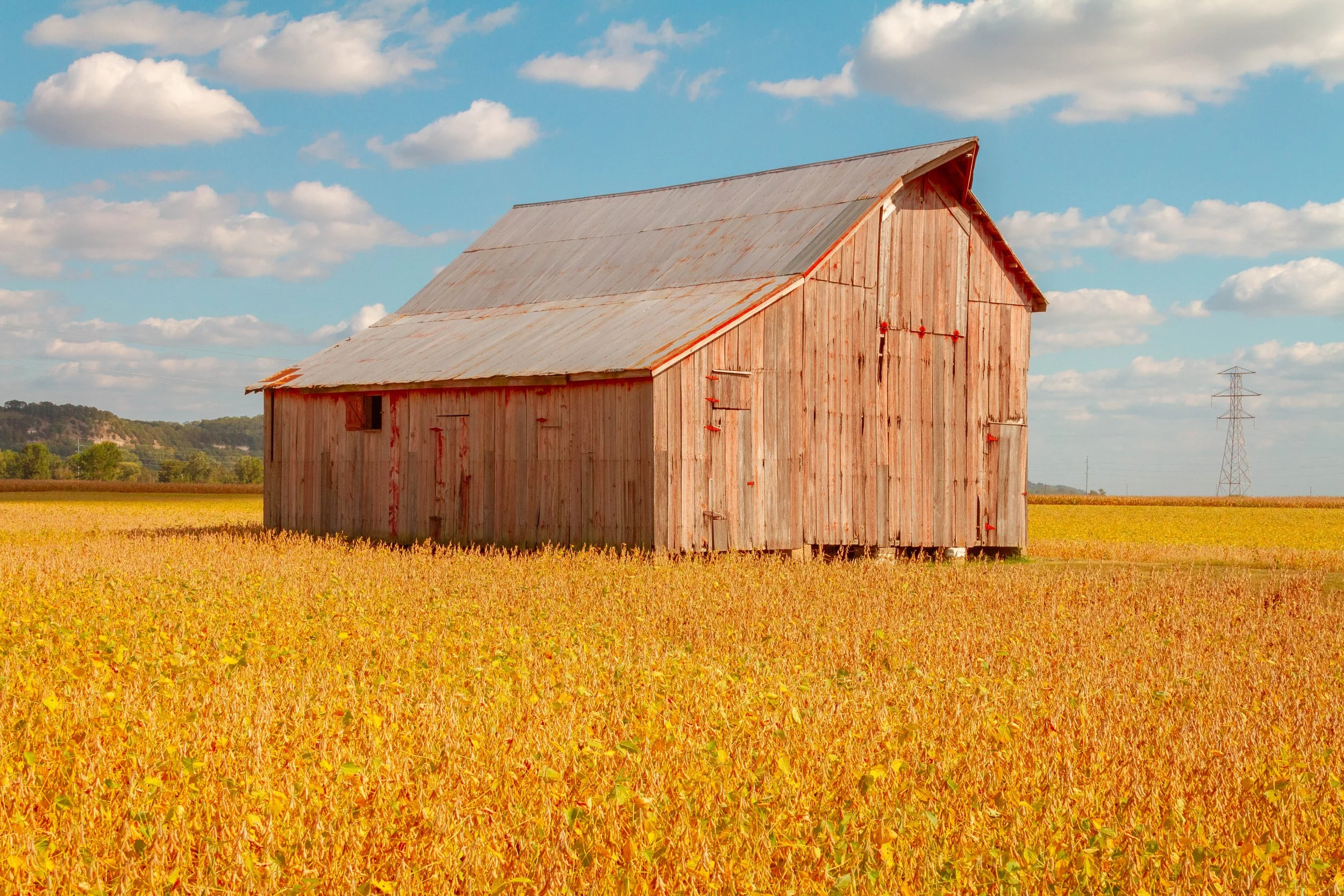 A color-graded look on Goodhue