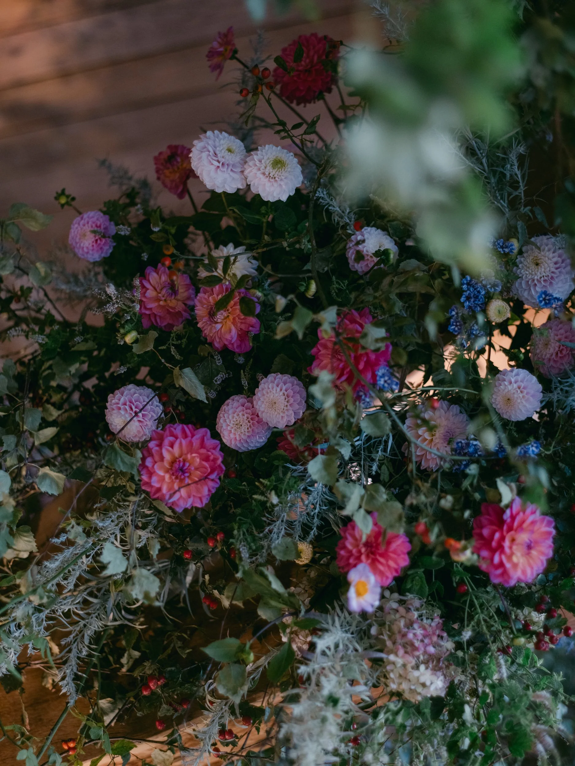 A color-graded look on Goodhue
