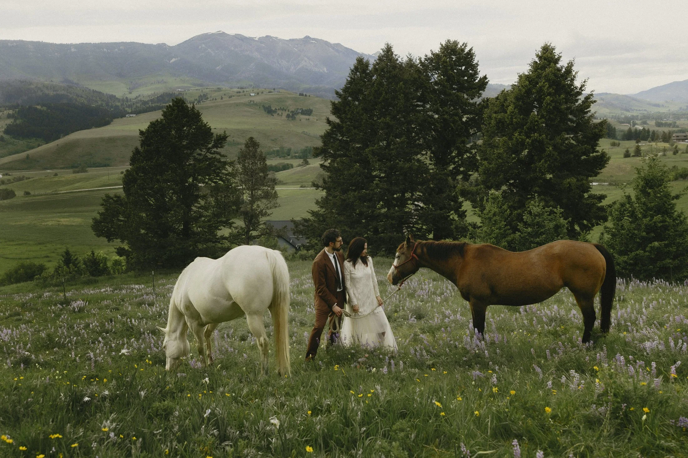 A color-graded look on Goodhue