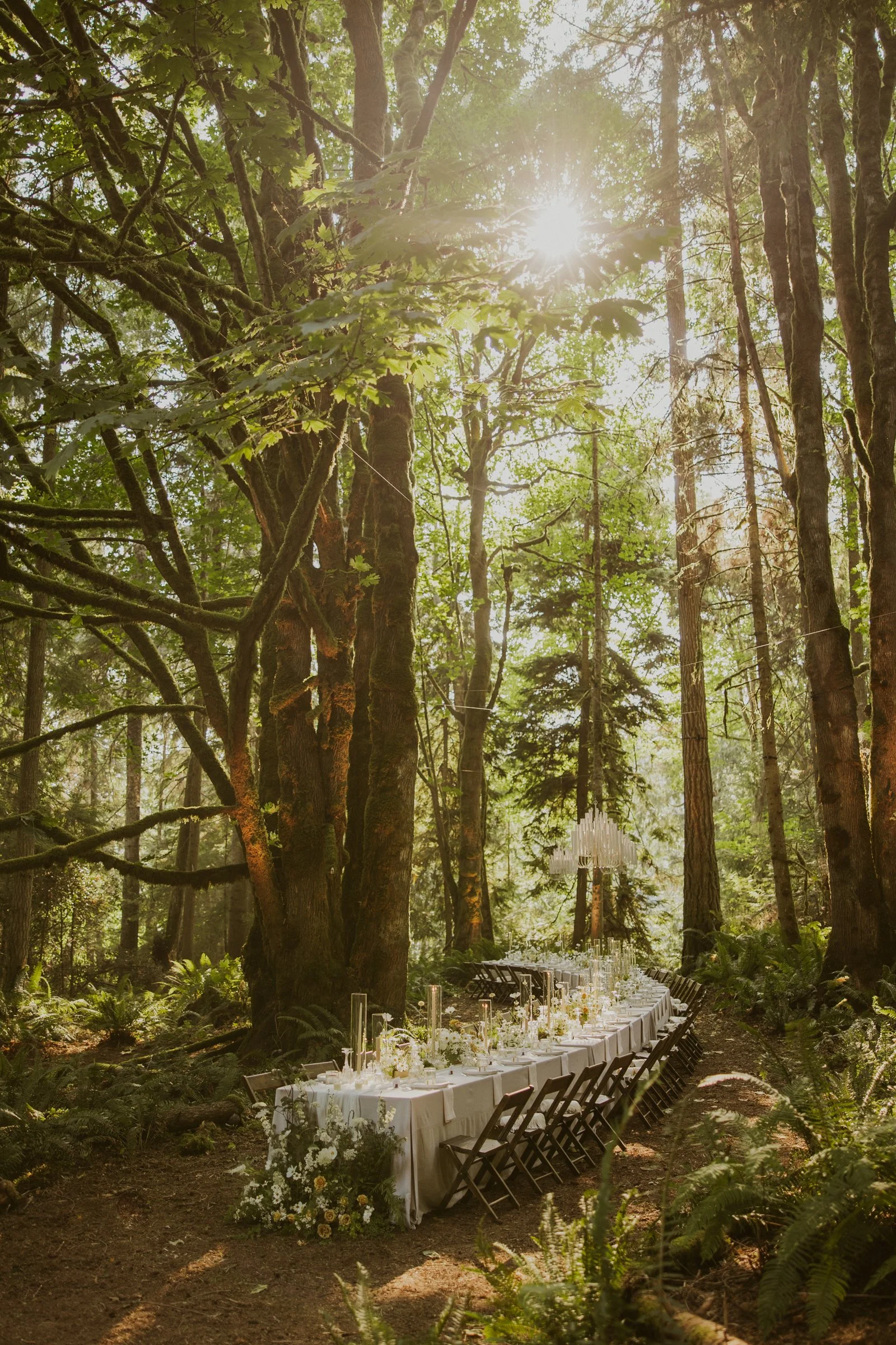 A color-graded look on Goodhue