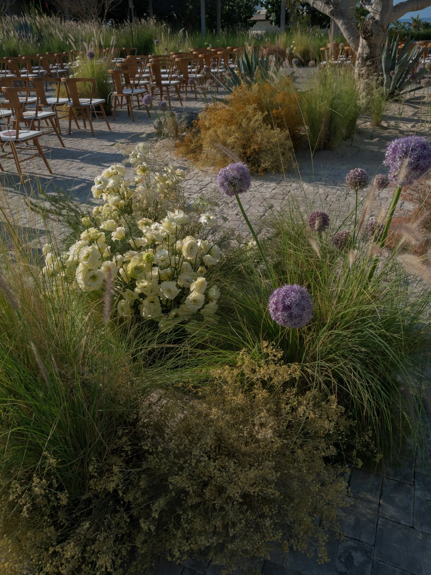 A color-graded look on Goodhue