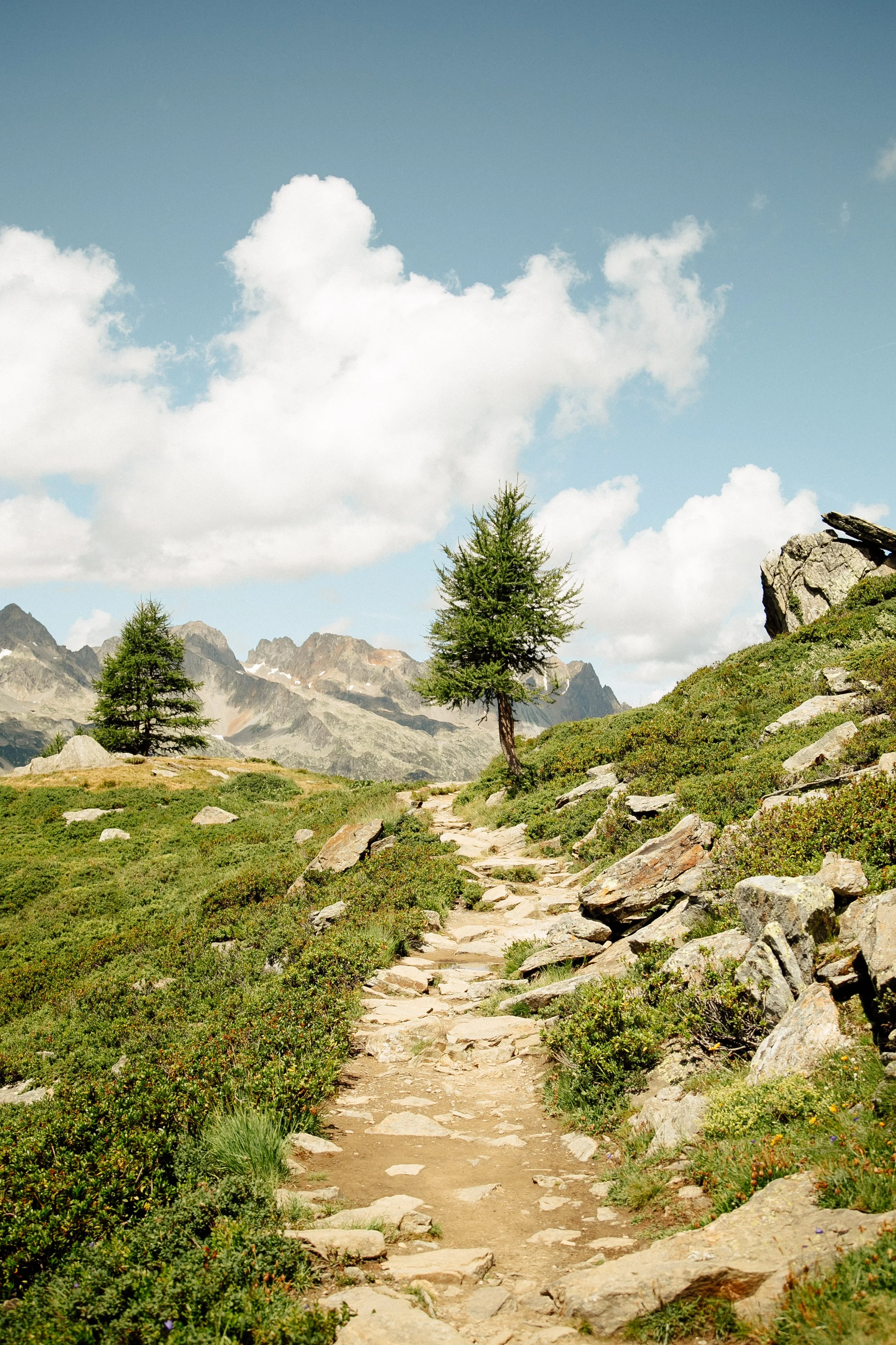 A color-graded look on Goodhue
