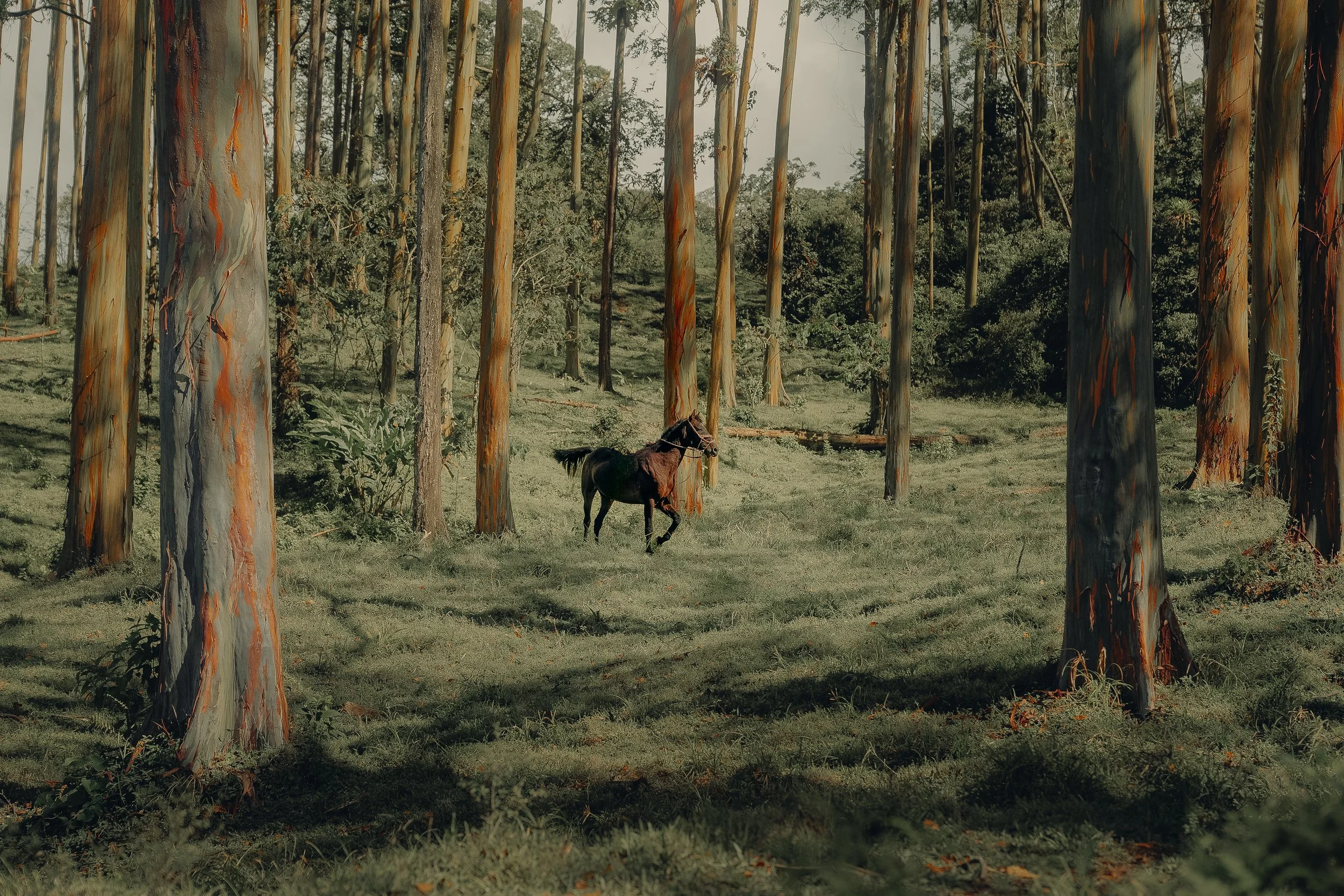A color-graded look on Goodhue