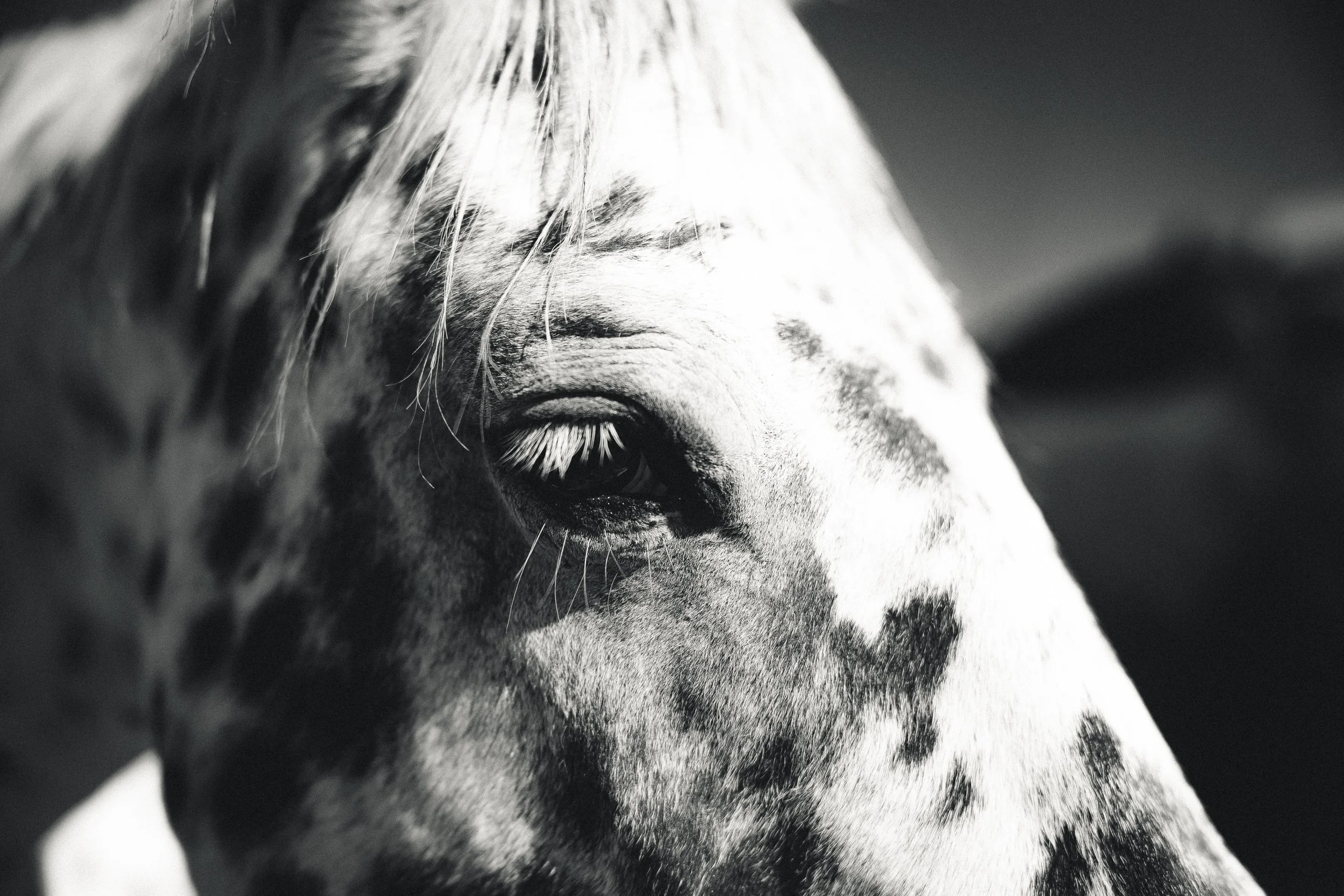 A color-graded look on Goodhue