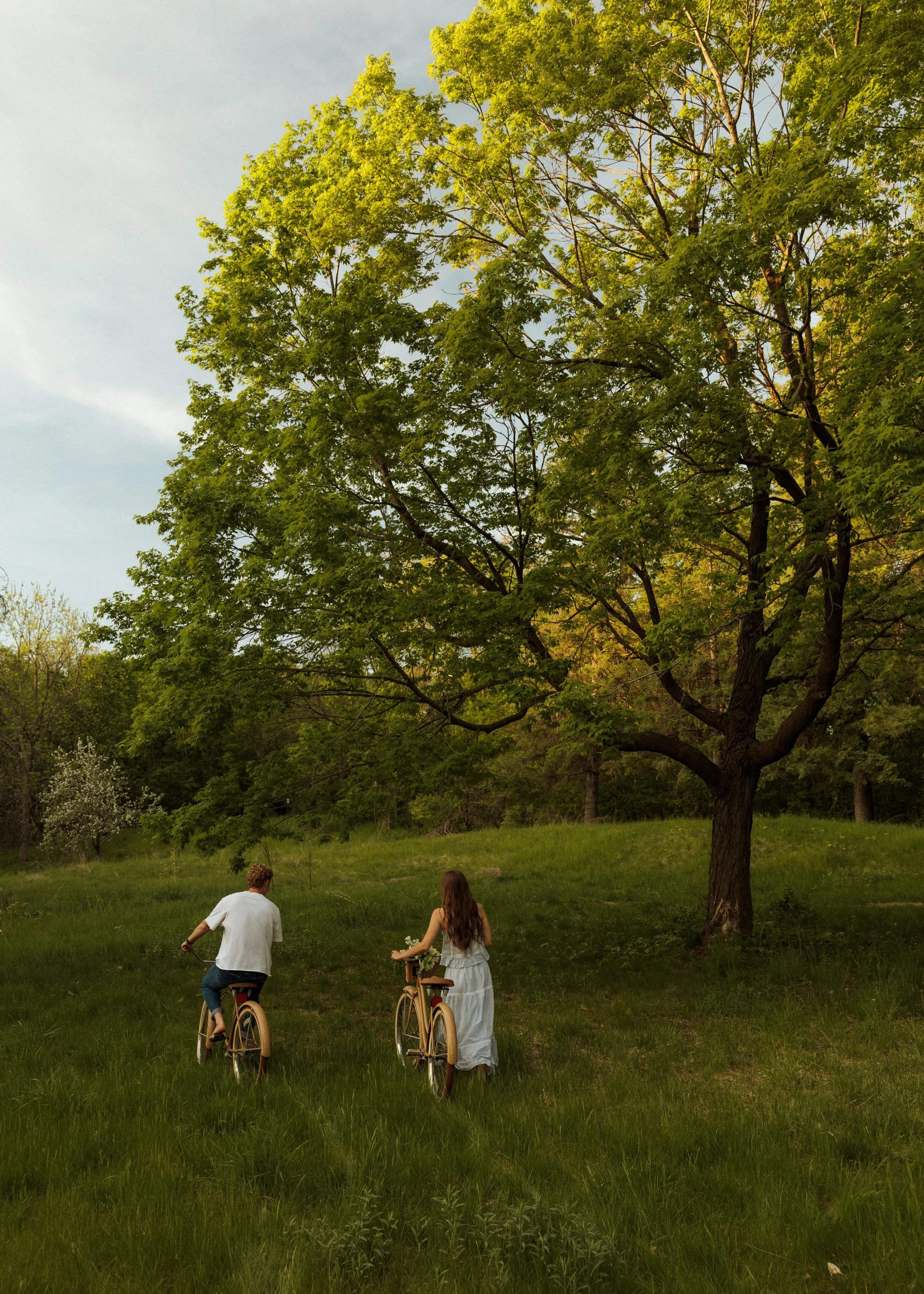 A color-graded look on Goodhue