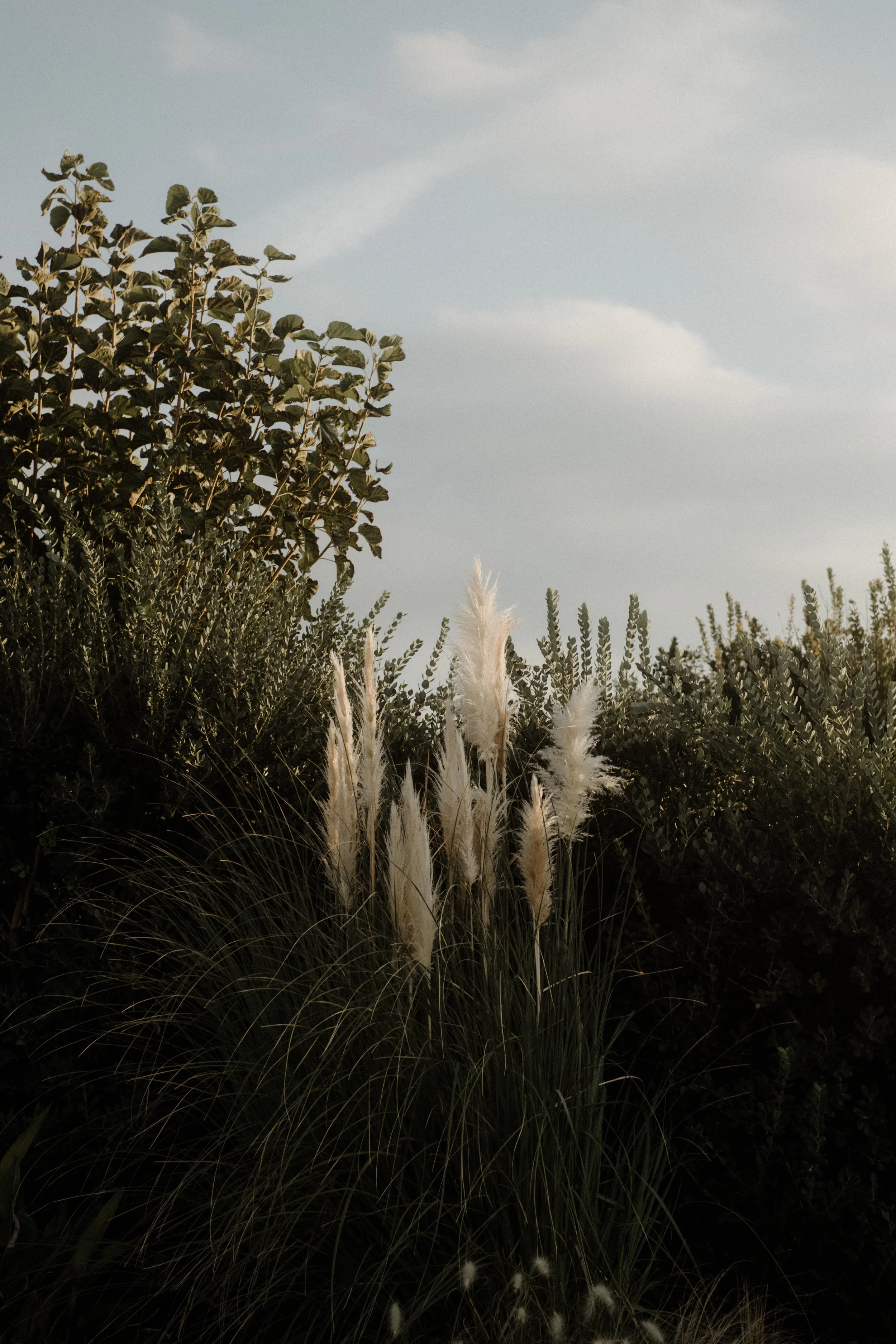 A color-graded look on Goodhue