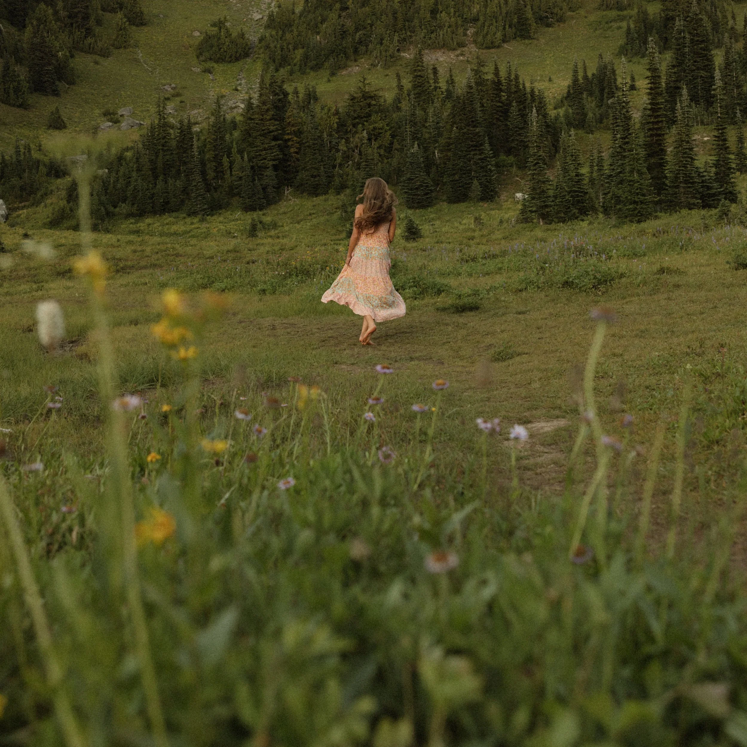 A color-graded look on Goodhue