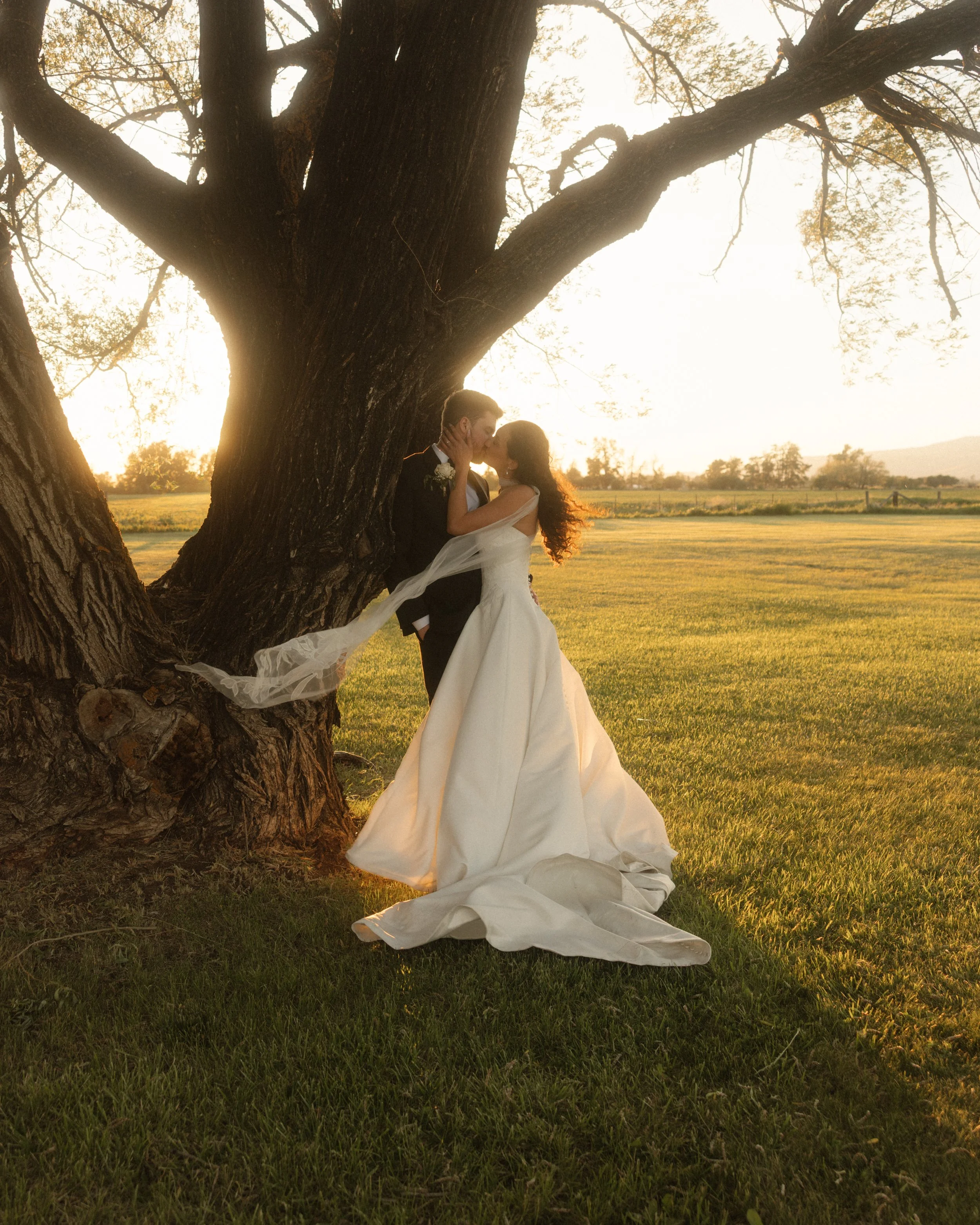 A color-graded look on Goodhue