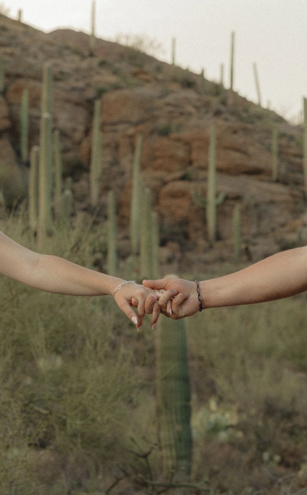 A color-graded look on Goodhue
