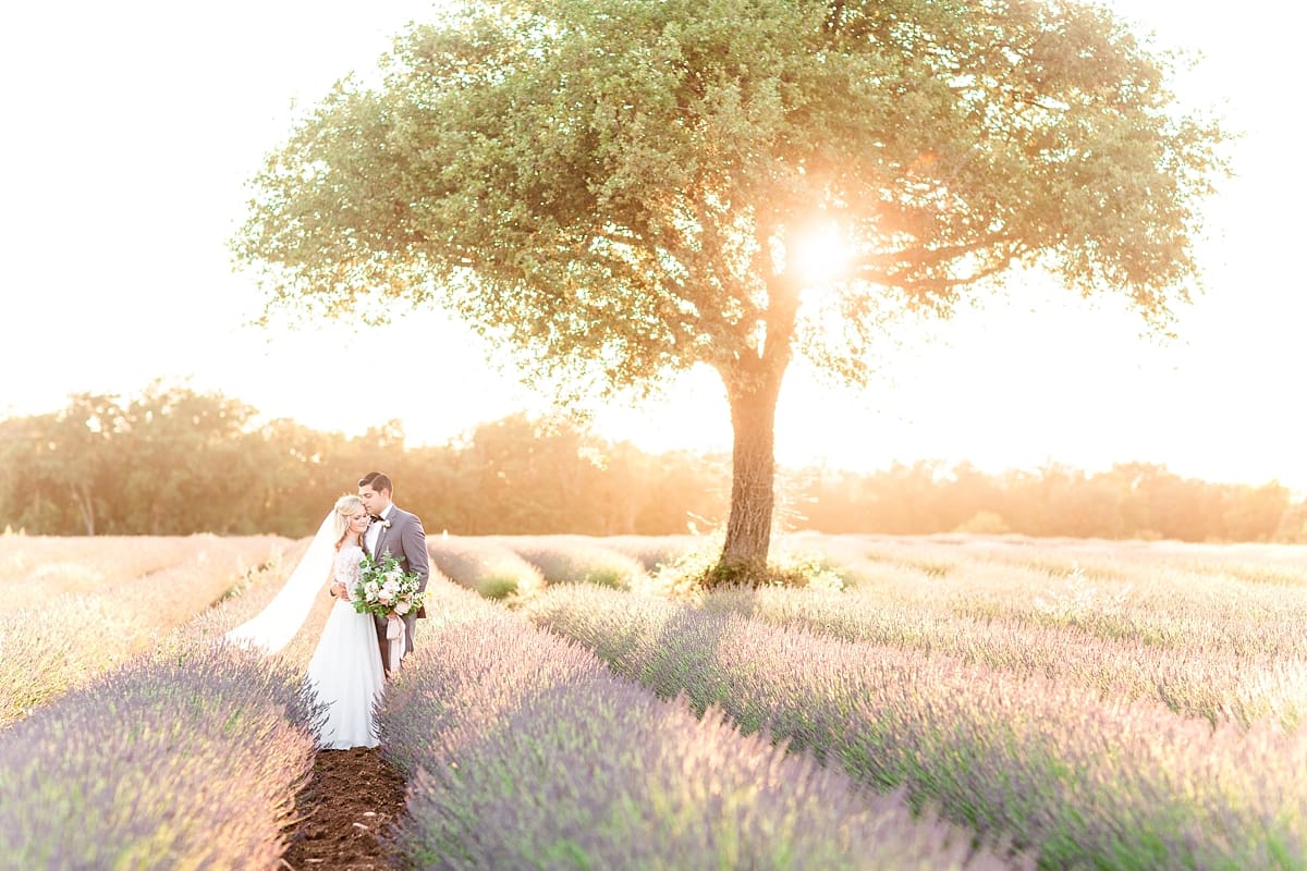 A color-graded look on Goodhue