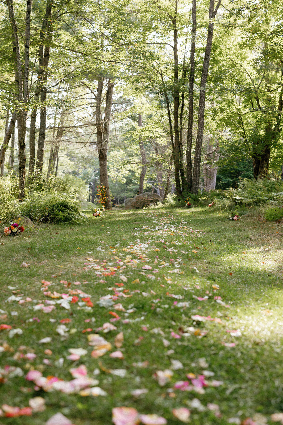 A color-graded look on Goodhue