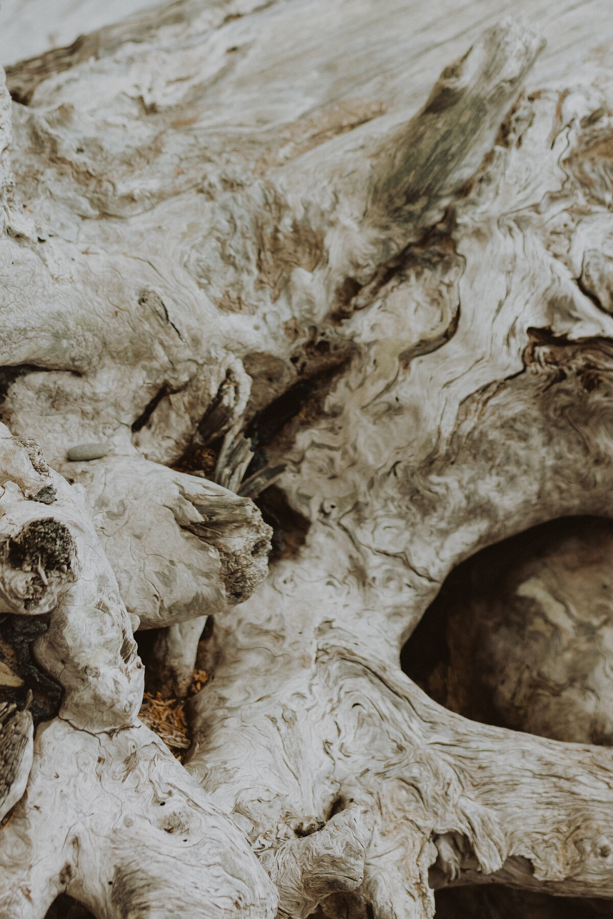 A color-graded look on Goodhue