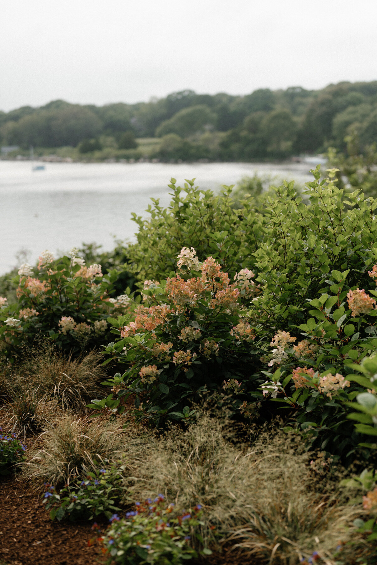 A color-graded look on Goodhue