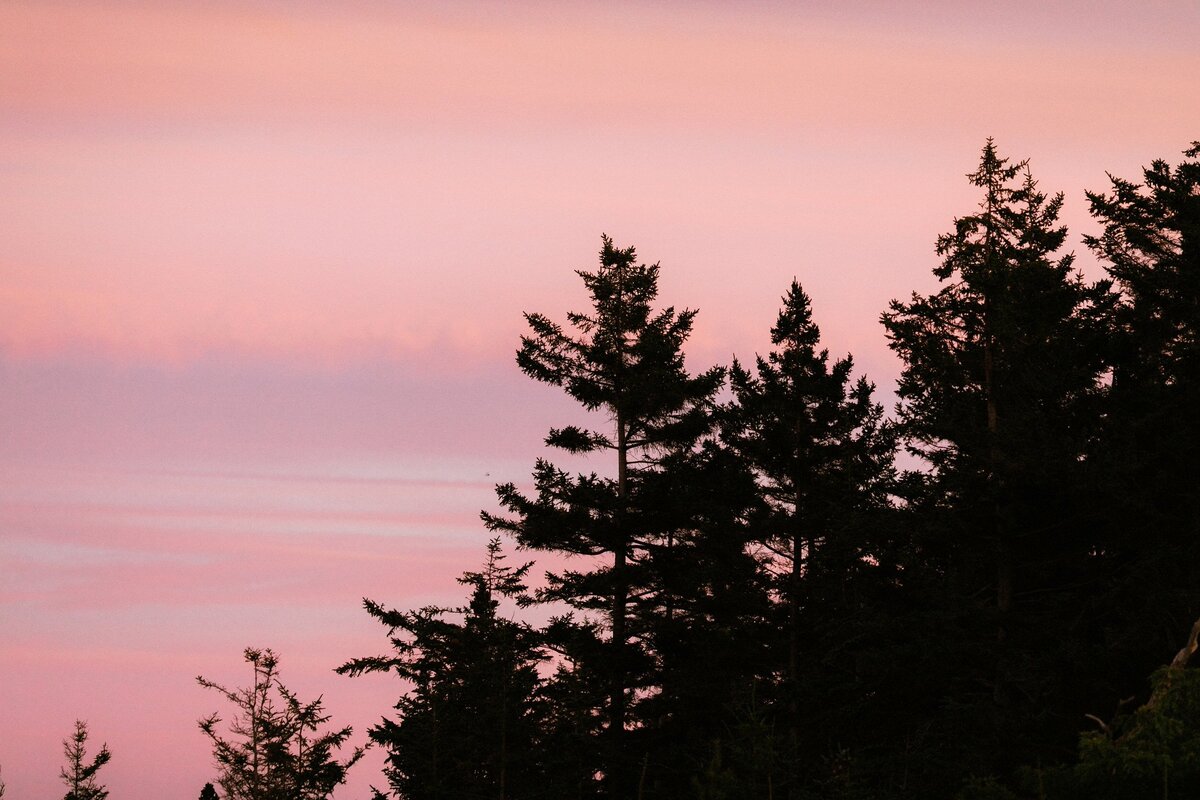 A color-graded look on Goodhue