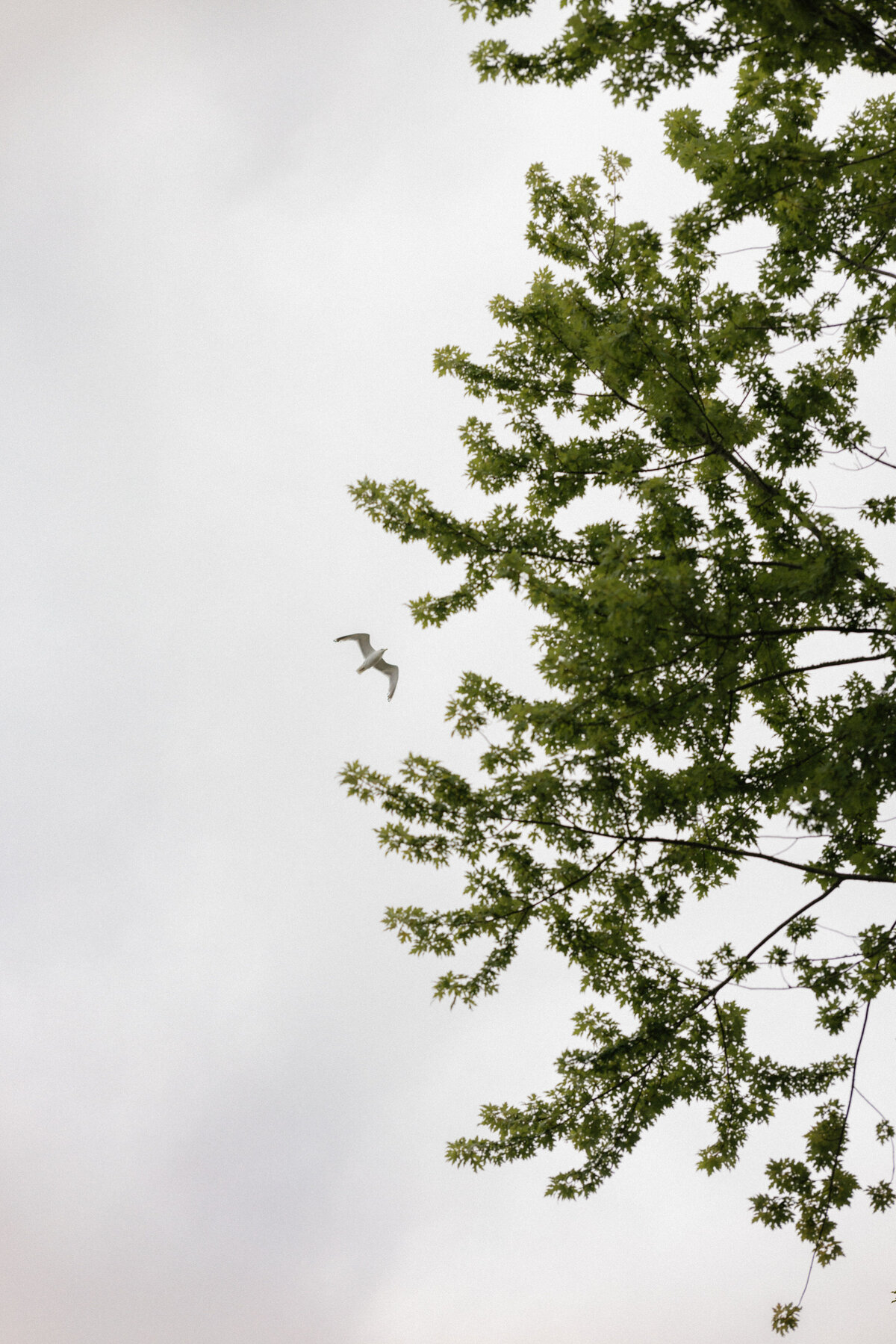 A color-graded look on Goodhue