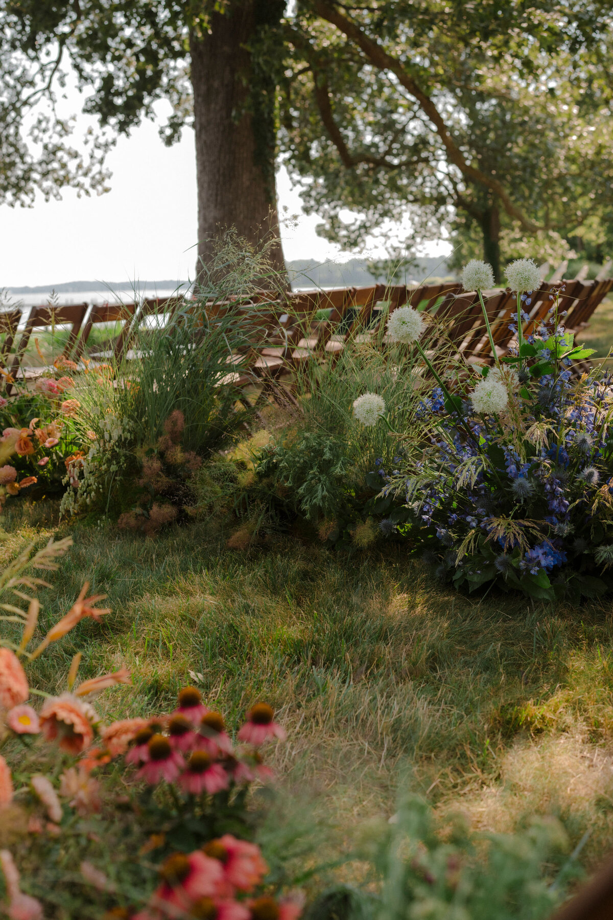 A color-graded look on Goodhue