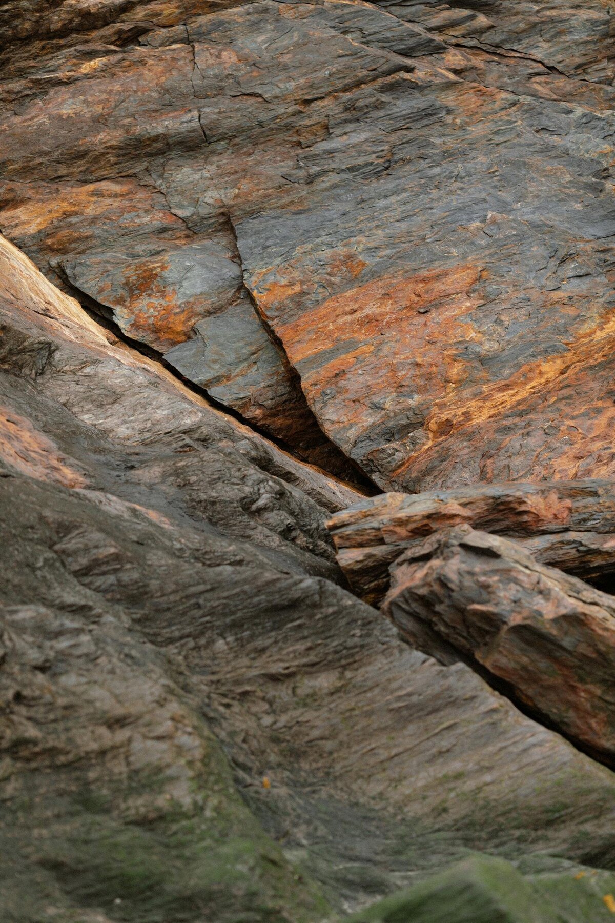 A color-graded look on Goodhue
