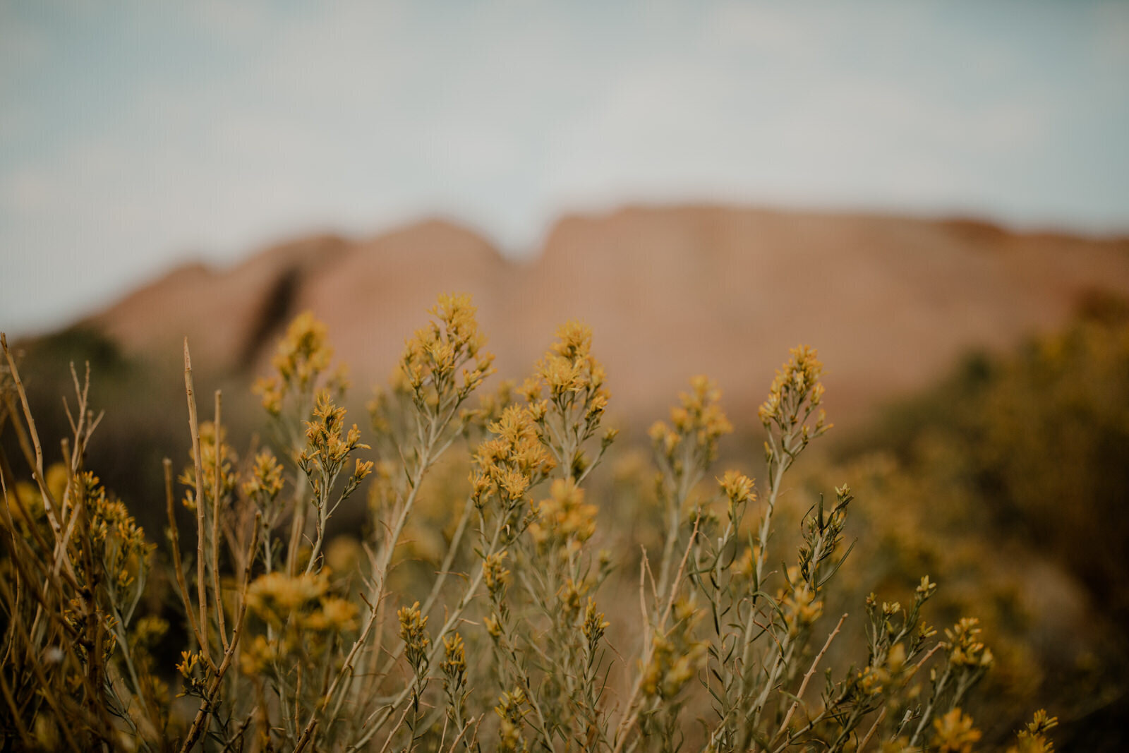 A color-graded look on Goodhue