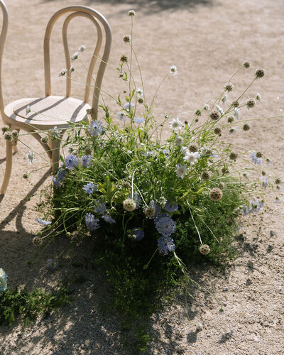 A color-graded look on Goodhue