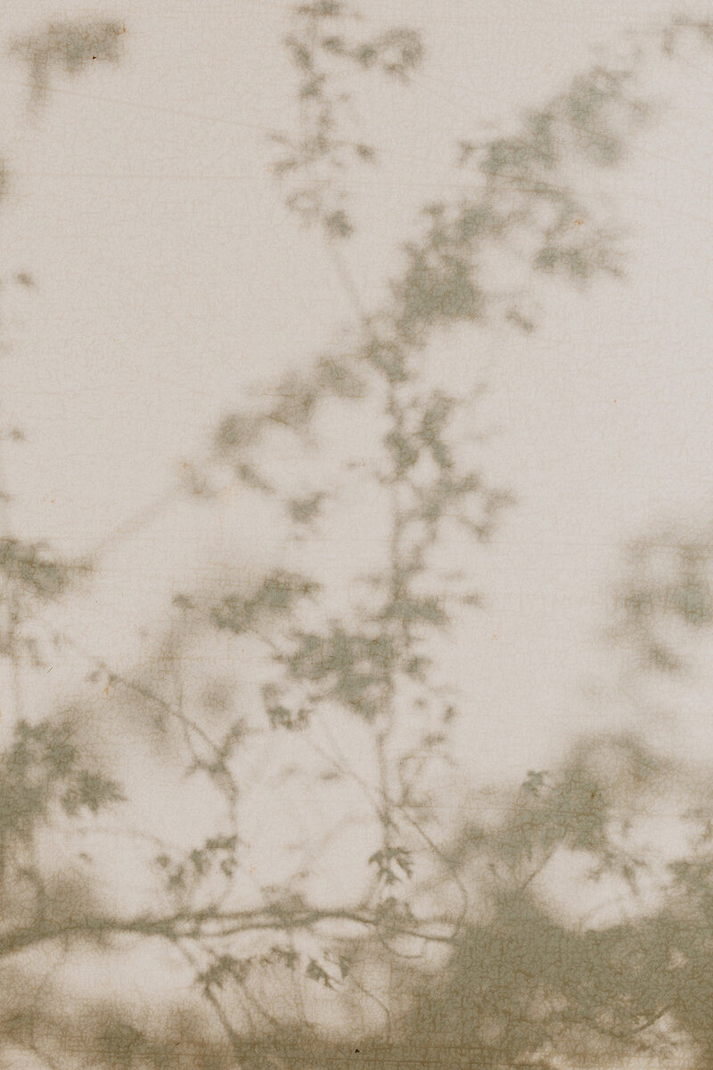 A color-graded look on Goodhue