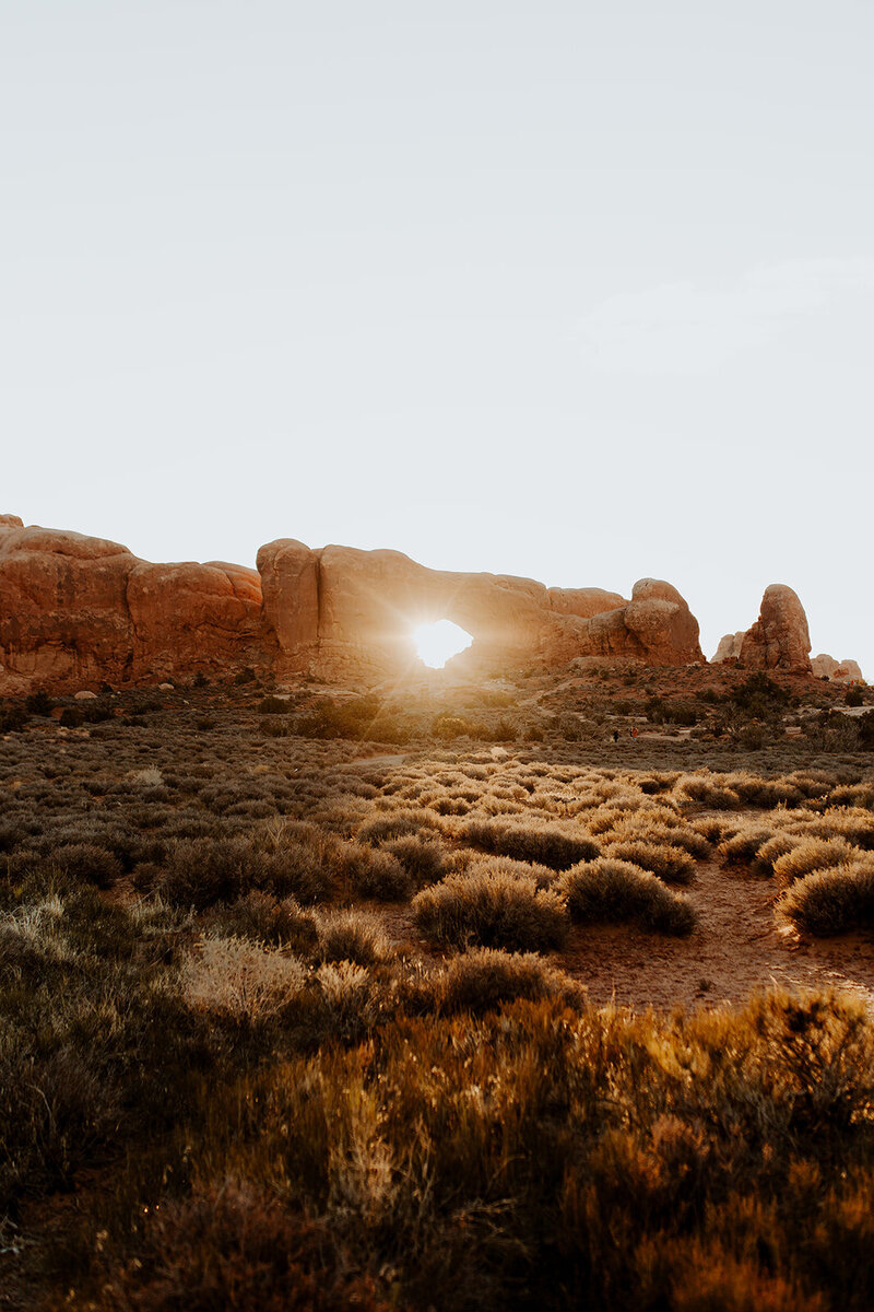 A color-graded look on Goodhue