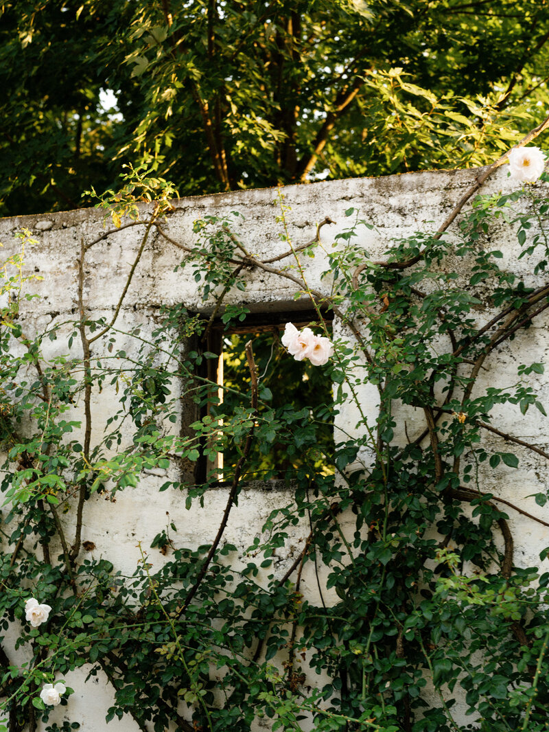 A color-graded look on Goodhue