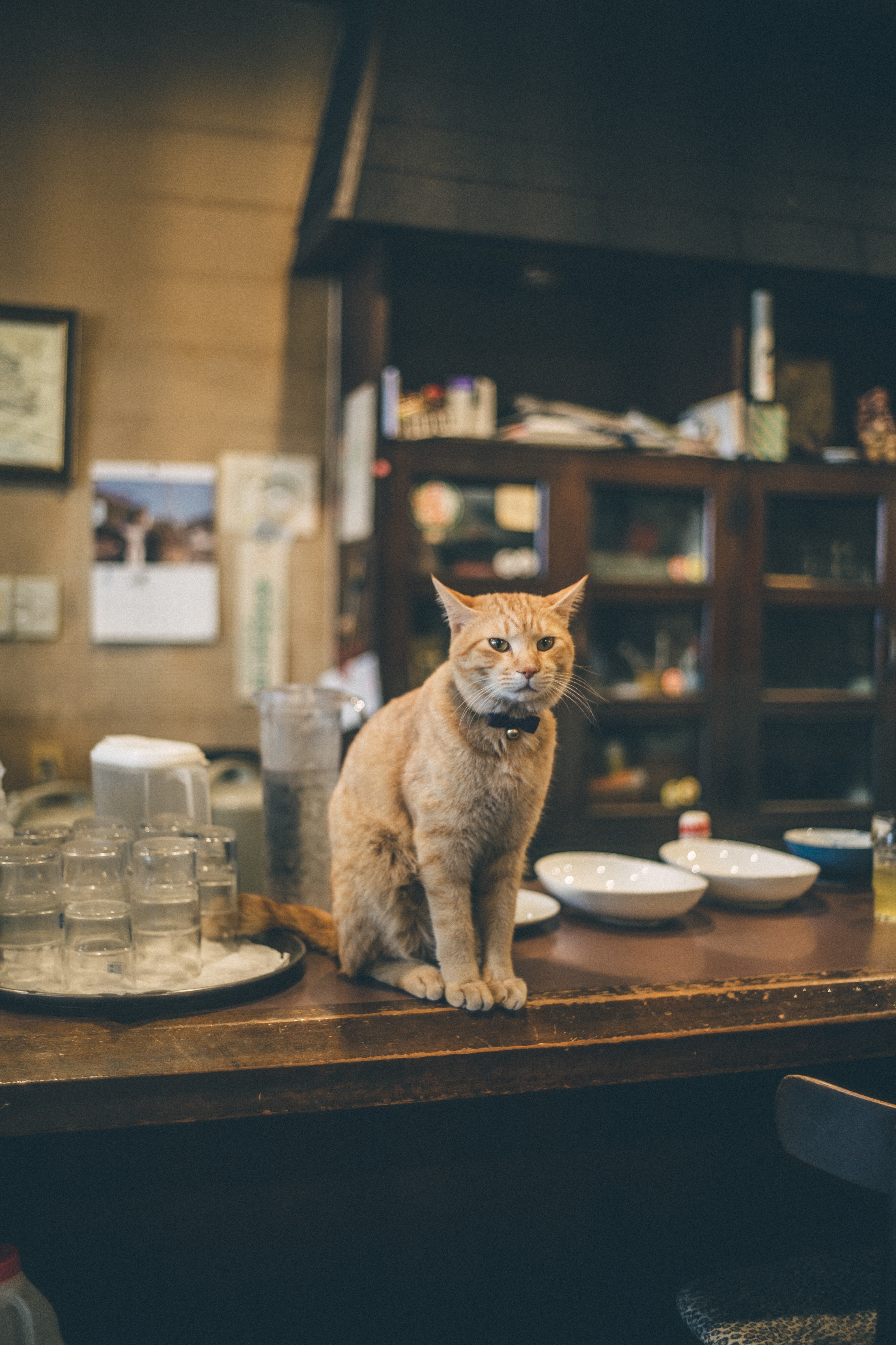 A color-graded look on Goodhue