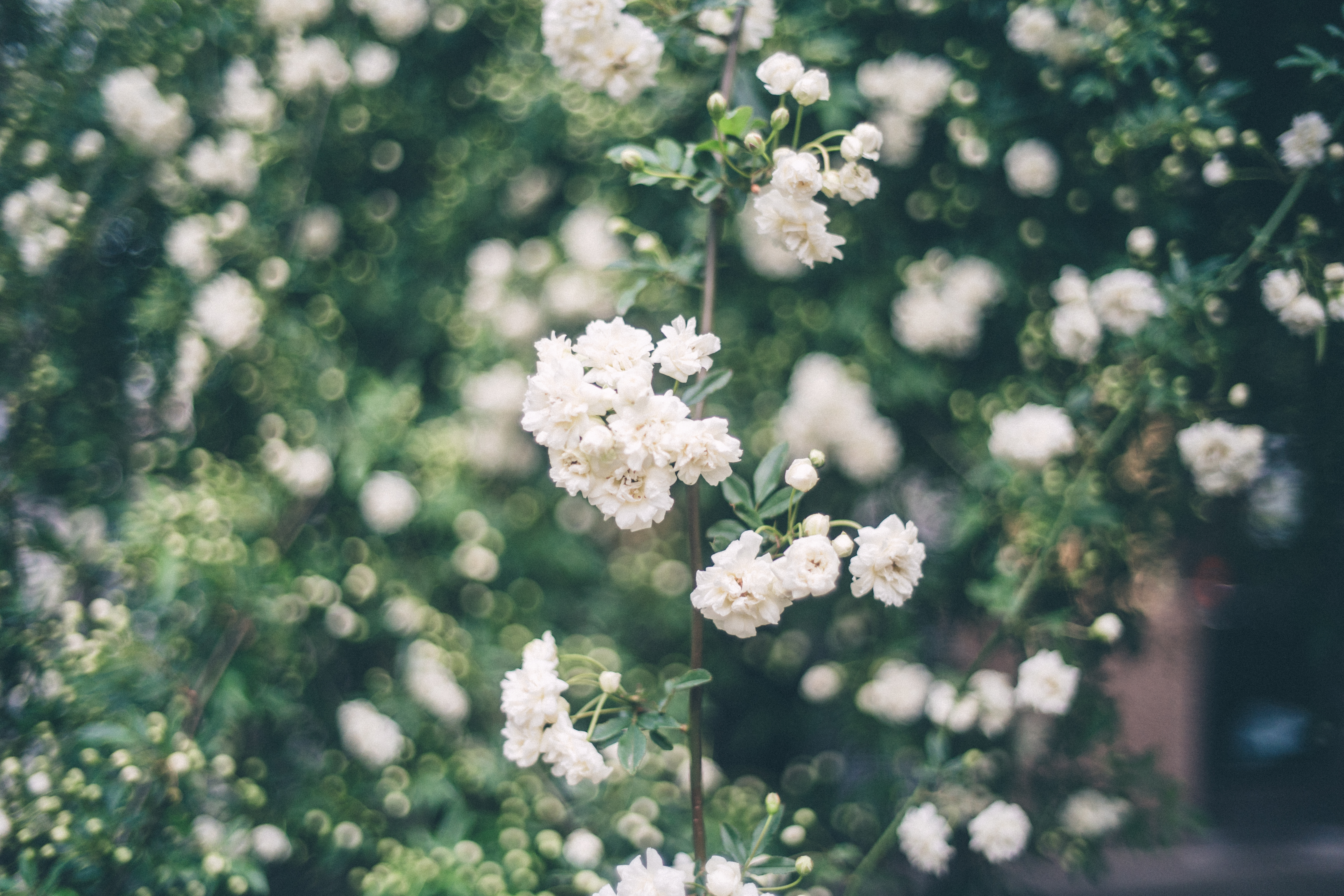 A color-graded look on Goodhue