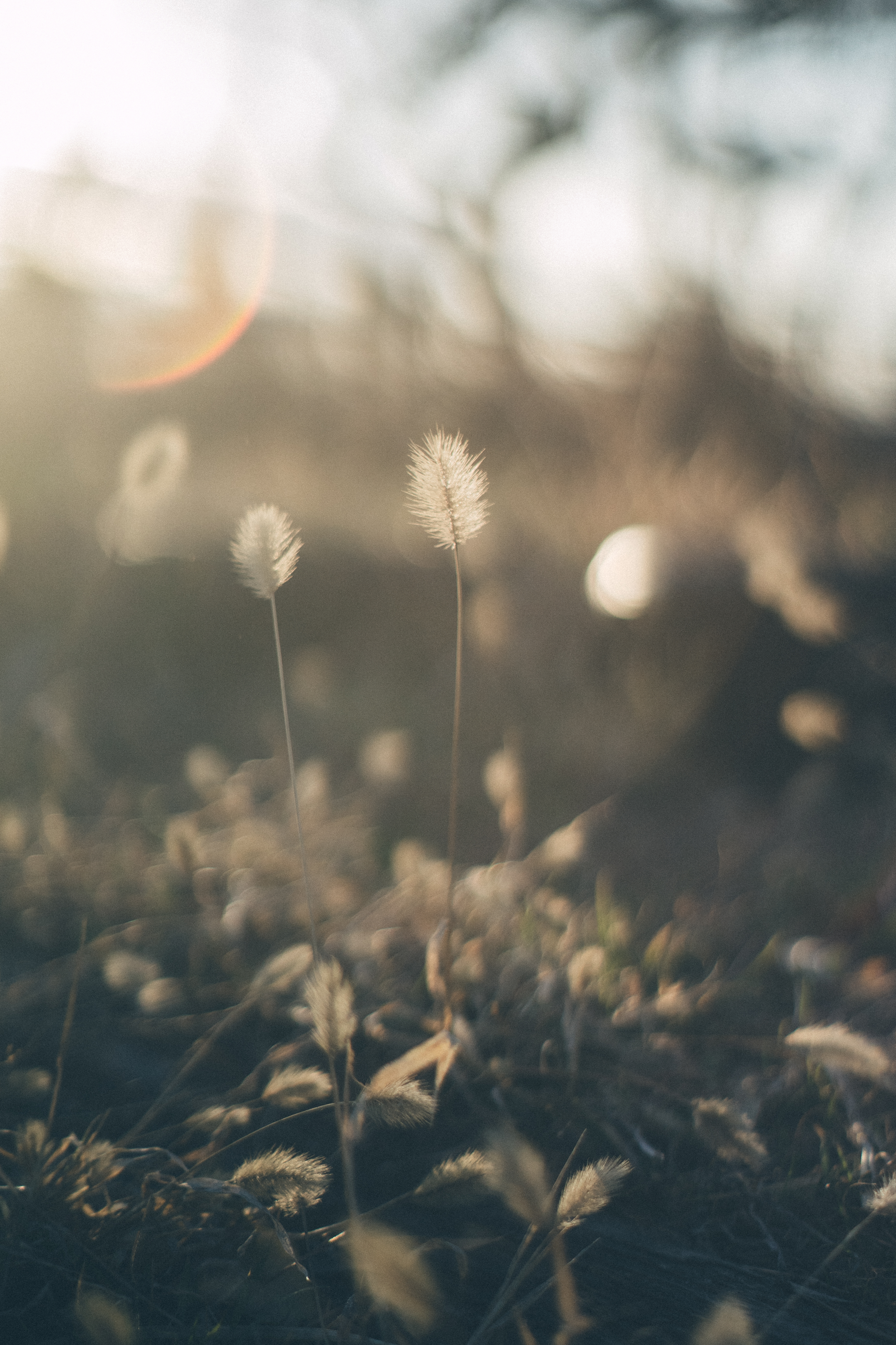 A color-graded look on Goodhue