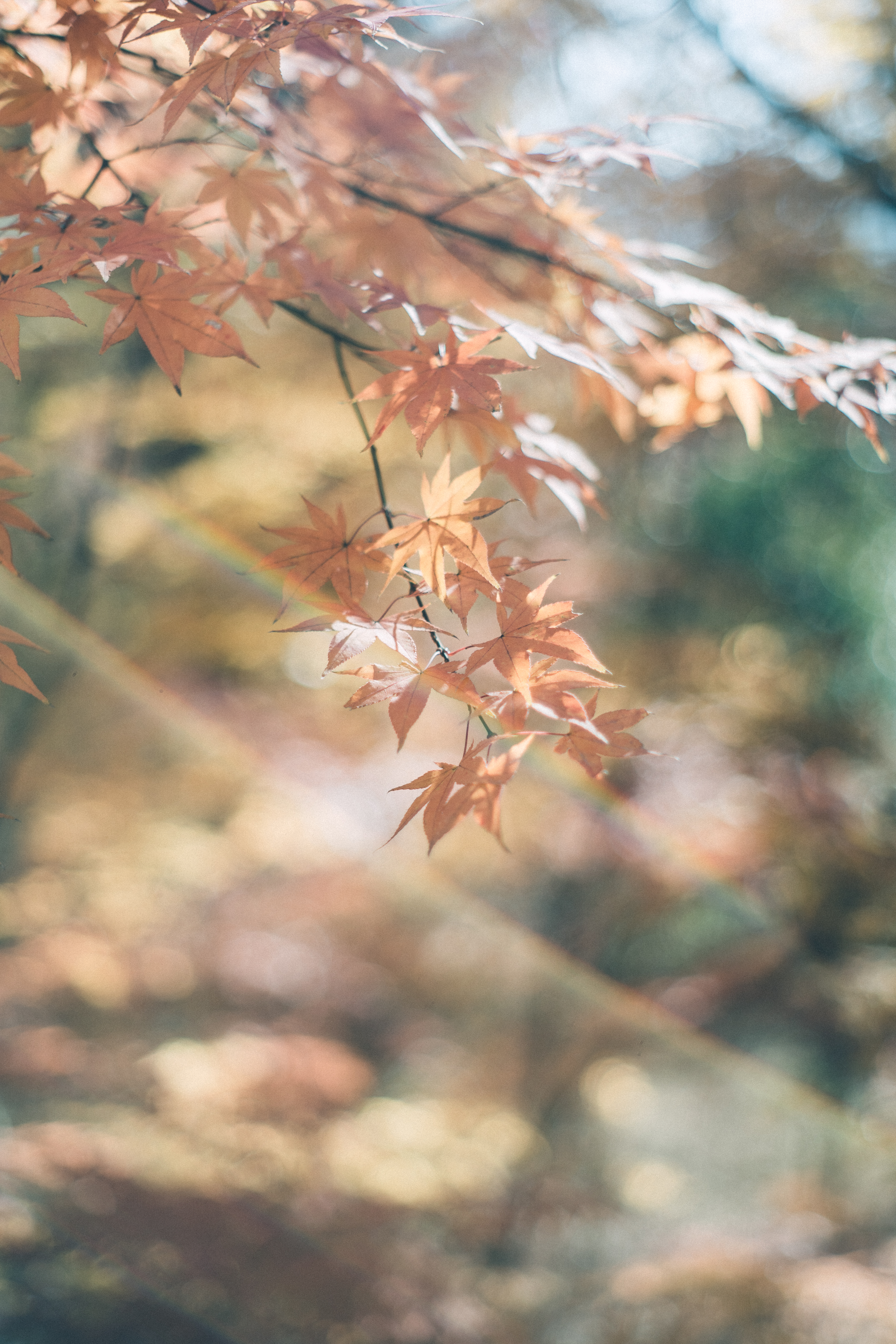 A color-graded look on Goodhue