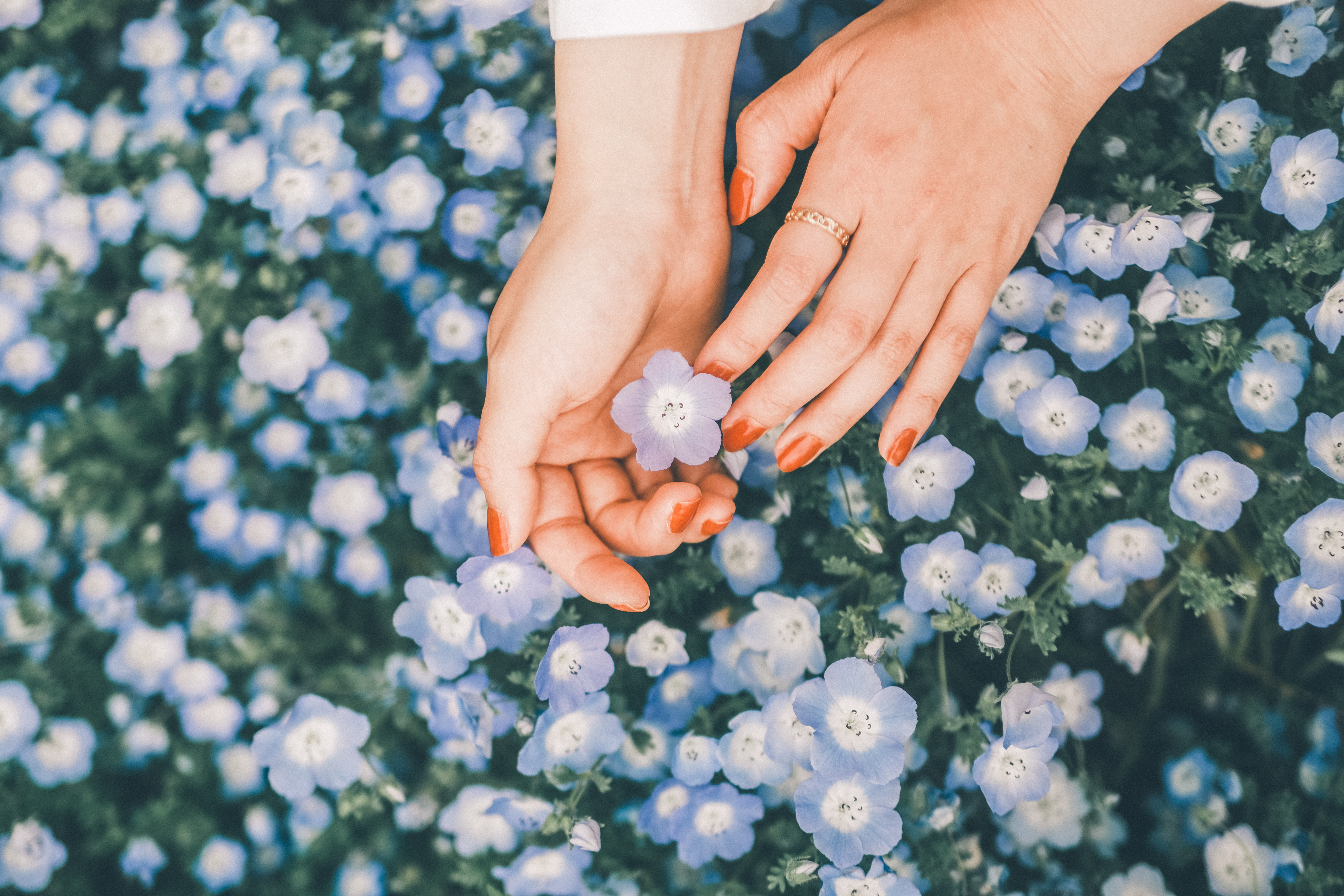 A color-graded look on Goodhue